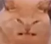 ANBGERY