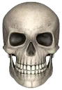 skulll