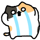 neko_cry