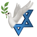 converting custom emote - Jewish Community