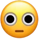 wtf