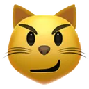 catfacewithwrysmile