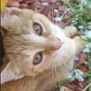 Lexie_Stare_Into_Soul