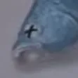 dead_fish_eclipse