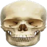 Skule