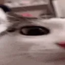 PlinkLeft