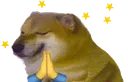 pray_doge