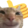 catThumbsUp Discord emoji