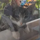 KumiChilling KumiChilling