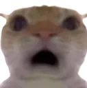 whwhwhwhwhwhhwhwhahat