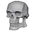 SkullStretch