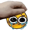 PetSob PetSob