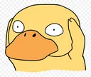 confusedduck
