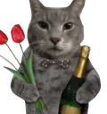 cat_rizz