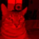 evil_ponder