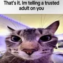 trustedAdult