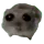 berry