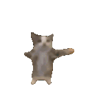 :custom_emoji: