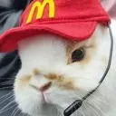 McBunny