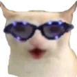 CatChest CatChest