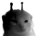 glorpDespair