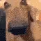 cheesedog