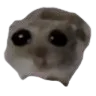 sadhamster