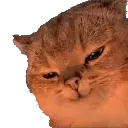 LETMECC
