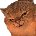 tan_catkatsmirk Discord emoji