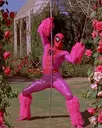 ZestySpider01