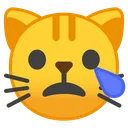 piecryingcat