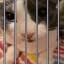 evil_beast_contained