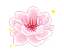 cherryblossomdigital