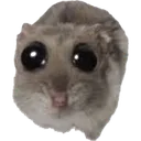 bughamster