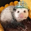 pretty_princess pretty_princess