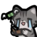 cat_broke