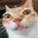 erm