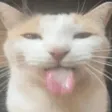 BLEHHHH