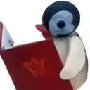 pinga_read