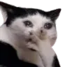 vainu vainu