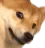 dogeno2 dogeno2