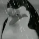 sadge
