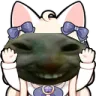 xddcaught