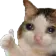 sadCat
