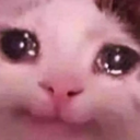 catcry Discord sticker from mr LEGEND