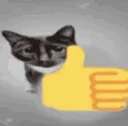catthumbsup