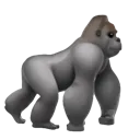 o_gorilla o_gorilla