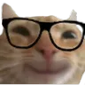 Catnerdhappy
