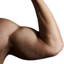 Muscle_R