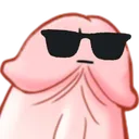 cool_pp